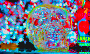 cropped-Skull_Bokeh_Photography_Colour.GraceMillerMedia-scaled-1.jpg